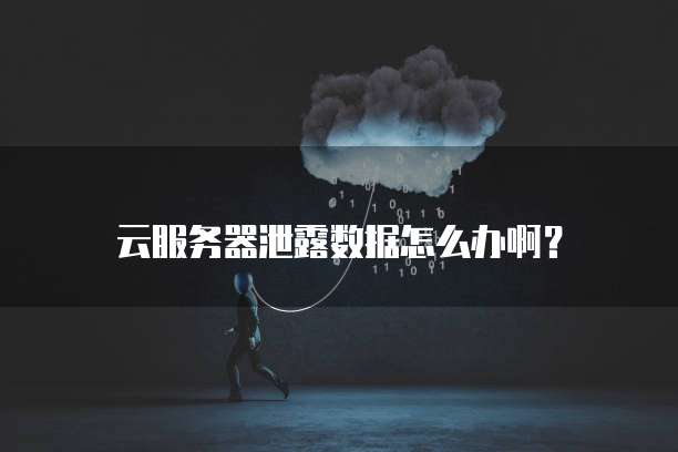云服务器泄露数据怎么办啊?