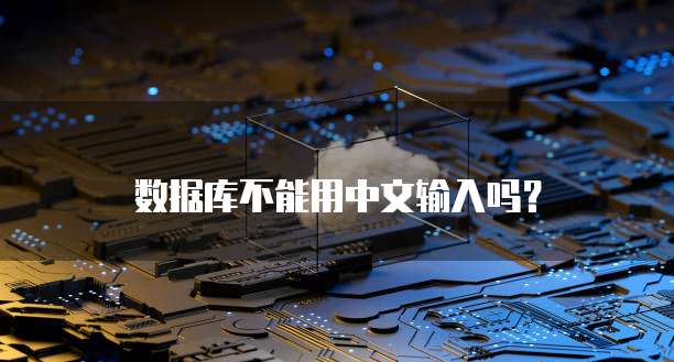 数据库不能用中文输入吗？