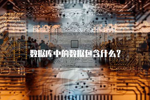 数据库中的数据包含什么？