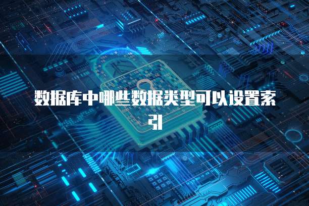 数据库中哪些数据类型可以设置索引