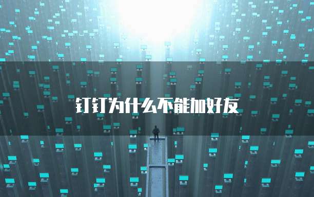 钉钉为什么不能加好友