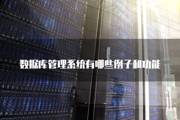 数据库管理系统有哪些例子和功能