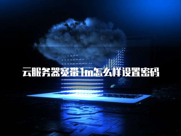 云服务器宽带1m怎么样设置密码