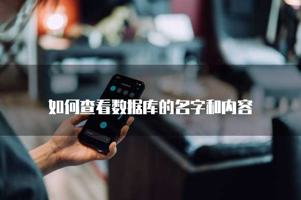 如何查看数据库的名字和内容