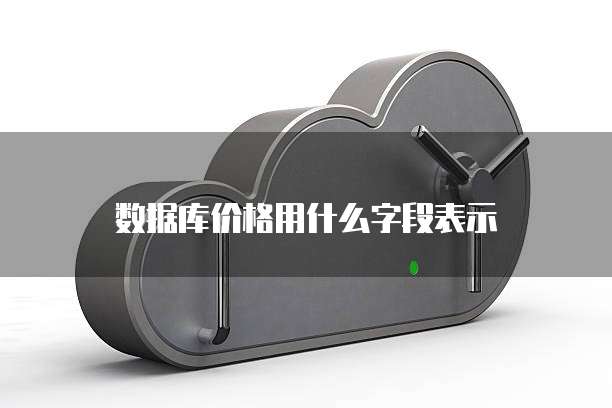 数据库价格用什么字段表示