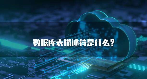 数据库表描述符是什么？