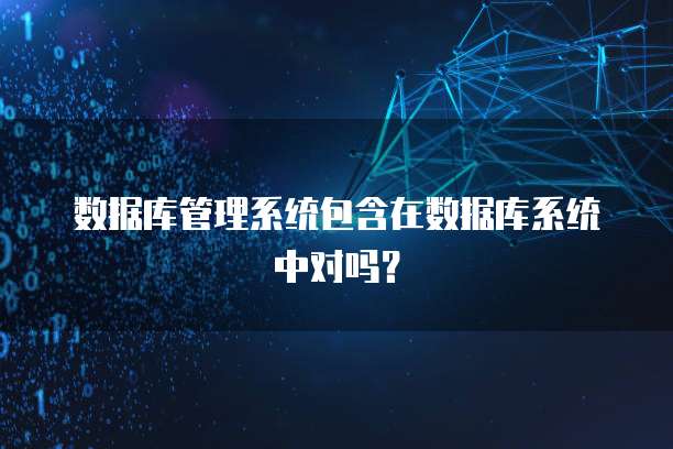 数据库管理系统包含在数据库系统中对吗?