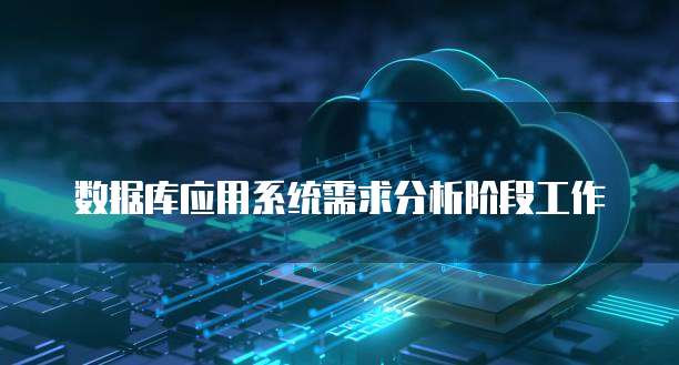 数据库应用系统需求分析阶段工作