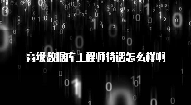 高级数据库工程师待遇怎么样啊