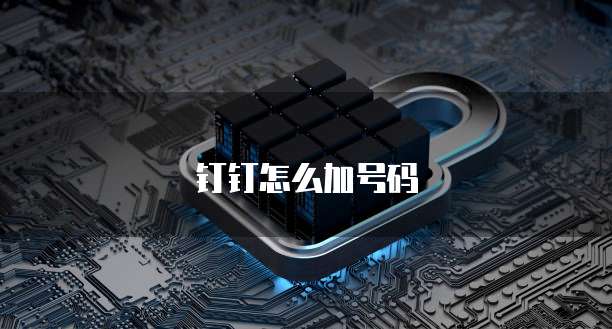 钉钉怎么加号码