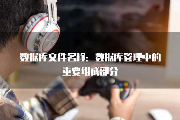 数据库文件名称:数据库管理中的重要组成部分