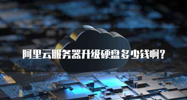 阿里云服务器升级硬盘多少钱啊？
