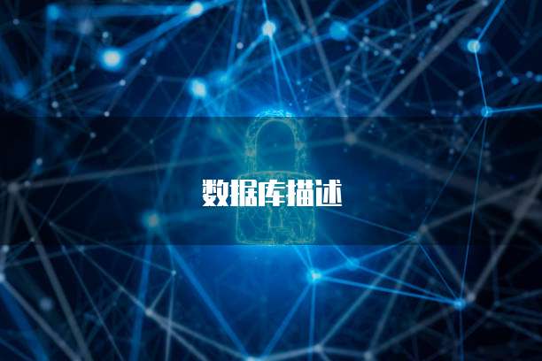 数据库描述