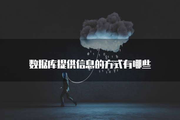 数据库提供信息的方式有哪些