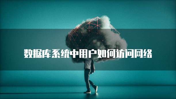 数据库系统中用户如何访问网络