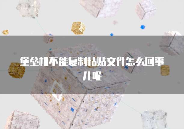 堡垒机不能复制粘贴文件怎么回事儿呢