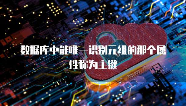 数据库中能唯一识别元组的那个属性称为主键