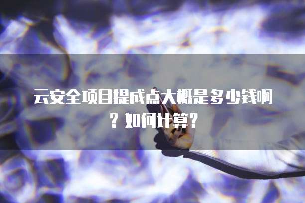 云安全项目提成点大概是多少钱啊？如何计算？