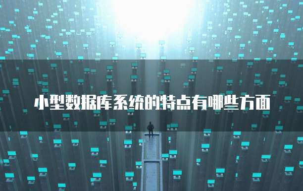 小型数据库系统的特点有哪些方面