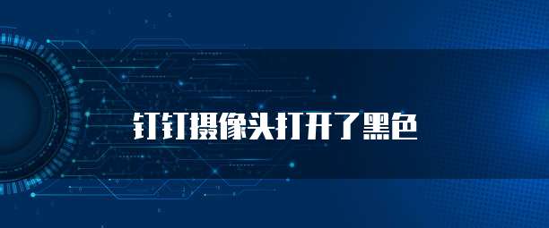 钉钉摄像头打开了黑色