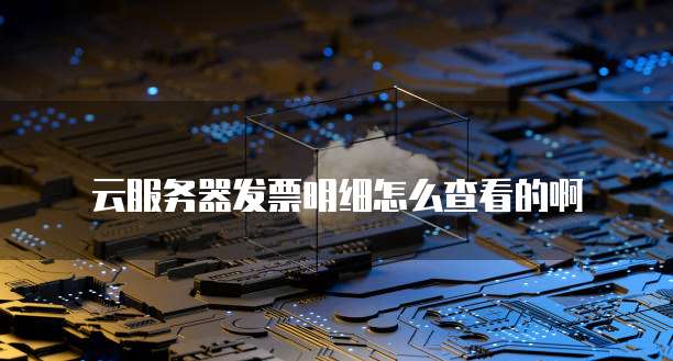 云服务器发票明细怎么查看的啊