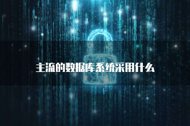 主流的数据库系统采用什么
