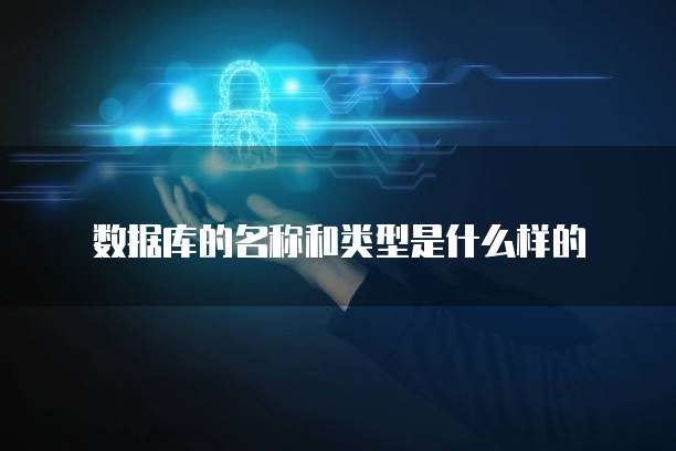 数据库的名称和类型是什么样的