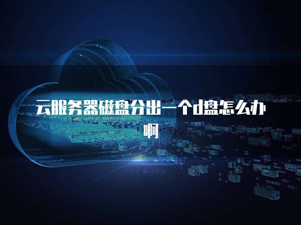 云服务器磁盘分出一个d盘怎么办啊
