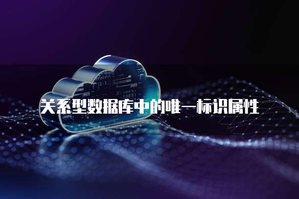 关系型数据库中的唯一标识属性