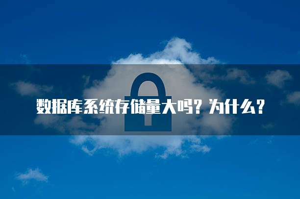 数据库系统存储量大吗?为什么?