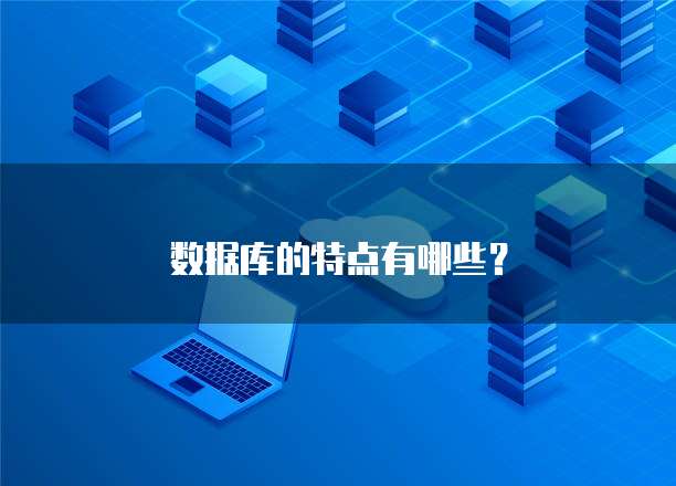 数据库的特点有哪些?
