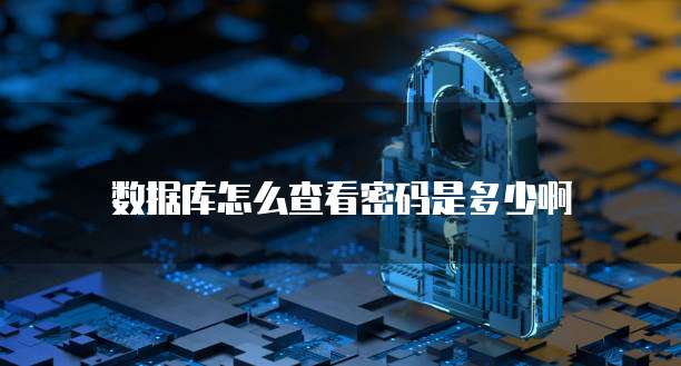 数据库怎么查看密码是多少啊
