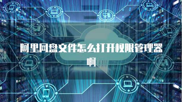 阿里网盘文件怎么打开权限管理器啊