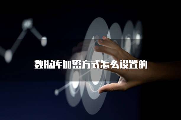 数据库加密方式怎么设置的