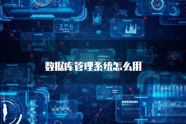 数据库管理系统怎么用