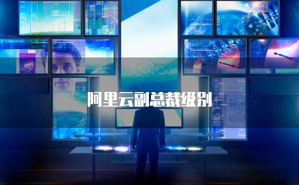 阿里云副总裁级别