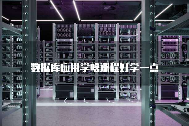 数据库应用学啥课程好学一点