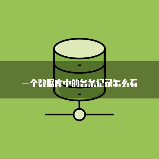 一个数据库中的各条记录怎么看