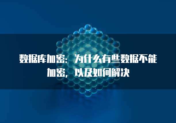 数据库加密：为什么有些数据不能加密，以及如何解决