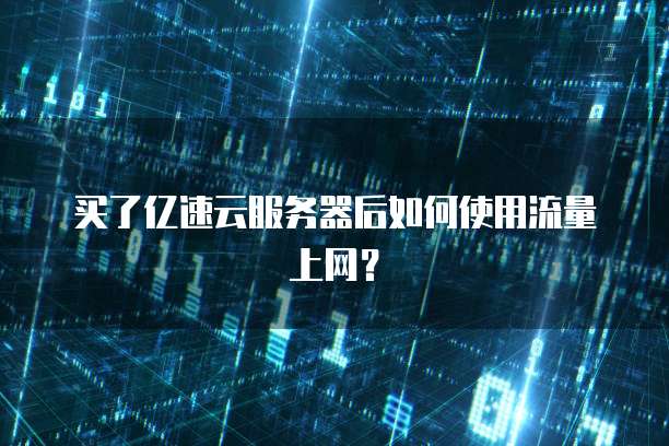 买了亿速云服务器后如何使用流量上网?