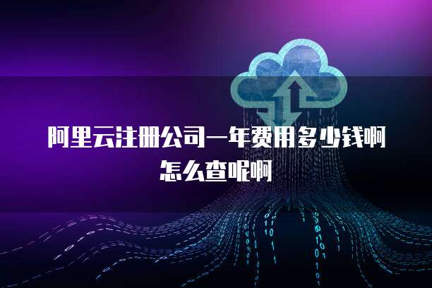 阿里云注册公司一年费用多少钱啊怎么查呢啊