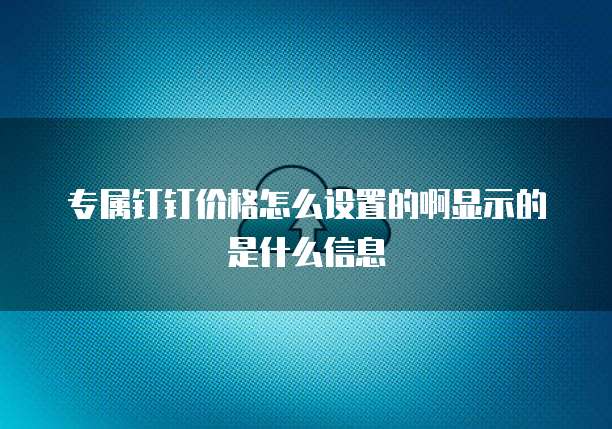 专属钉钉价格怎么设置的啊显示的是什么信息