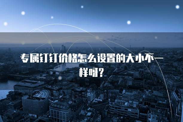 专属钉钉价格怎么设置的大小不一样呀?
