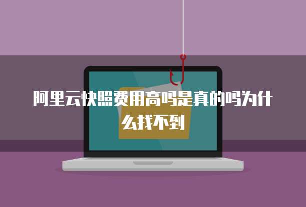 阿里云快照费用高吗是真的吗为什么找不到
