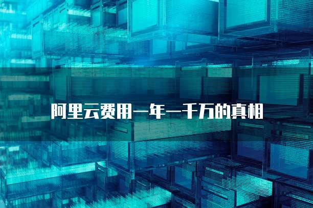 阿里云费用一年一千万的真相
