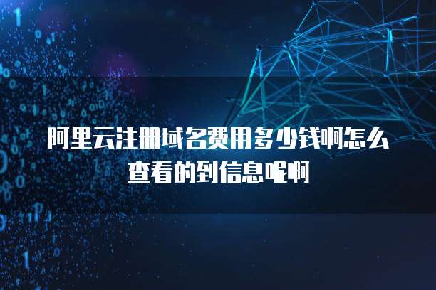 阿里云注册域名费用多少钱啊怎么查看的到信息呢啊