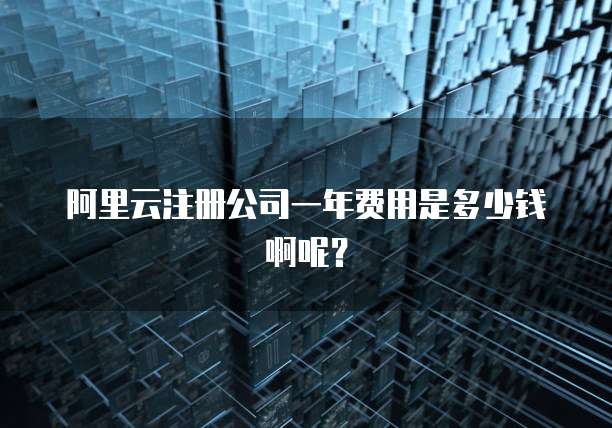 阿里云注册公司一年费用是多少钱啊呢？