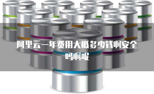 阿里云一年费用大概多少钱啊安全吗啊呢