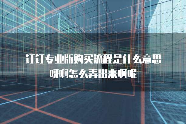 钉钉专业版购买流程是什么意思呀啊怎么弄出来啊呢
