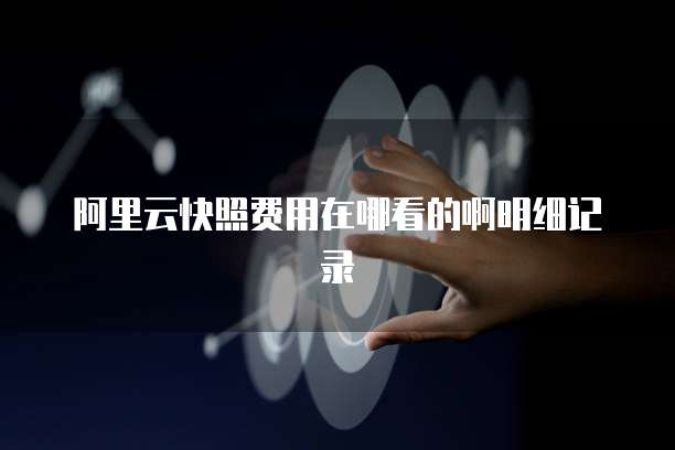 阿里云快照费用在哪看的啊明细记录